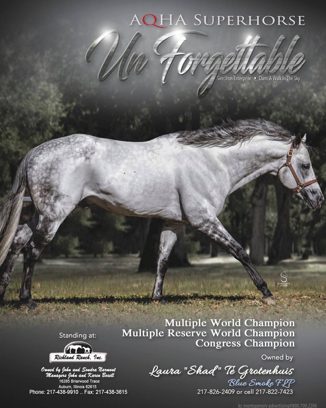 Un Forgettable - Stallion